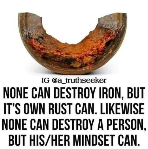 IMG_20230126_193000_469