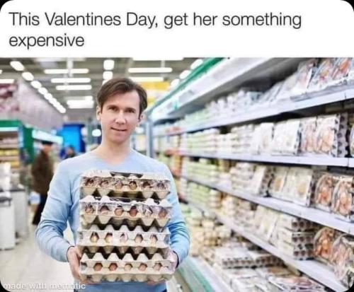 photo_2023-01-12_00-44-45