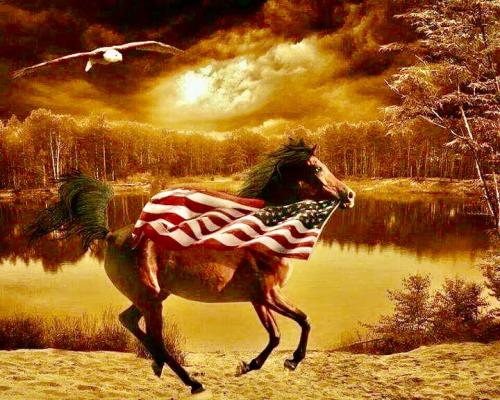 378E796A-0076-461B-8A95-F8242FB850B6