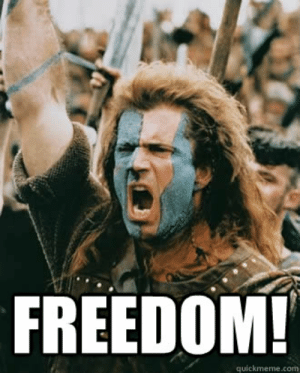 thumb_freedom-quickmeme-com-freedom-braveheart-quickmeme-49594192