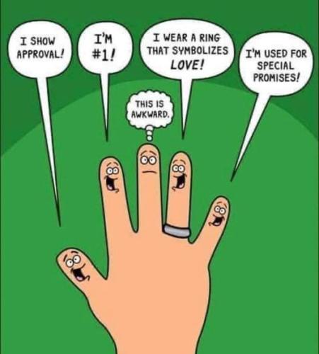 325859498_1529320060884923_819239301869714332_n