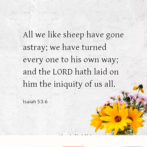 dailybible_20230106-145638_Isaiah_53-6