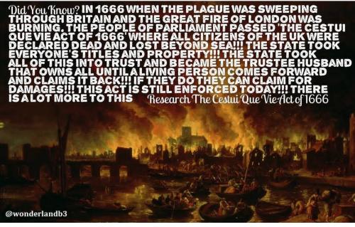 Screenshot_2023-01-19-00-37-06-21_1c337646f29875672b5a61192b9010f9