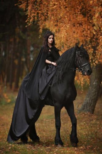 d71fa75fb0facfc46eff5f65d93581b3