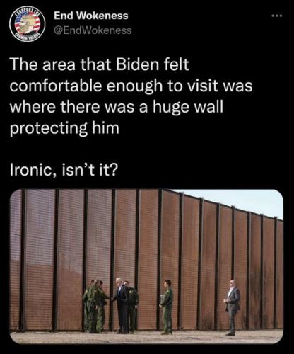 the wall262