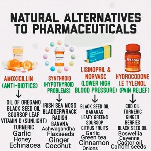 photo_2023-01-05_18-39-30