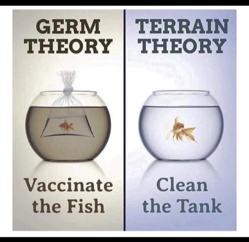 4f2907c3-f923-4c03-82db-7a356d6f7840