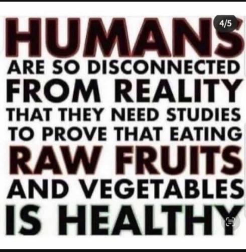 Screenshot_20230115_164334_YouTube