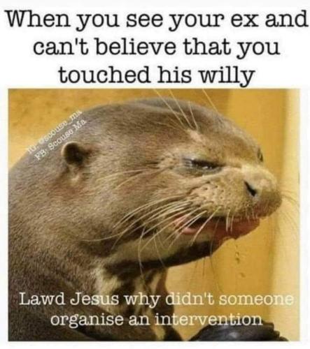 316d4d39-ab74-451f-b43d-c84bff7333c2