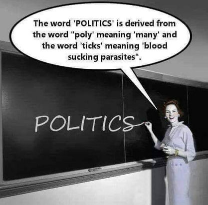 poly ticks