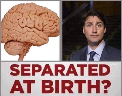 bf5d7529-8c24-4ef6-aaa1-79f7f5f09c3c