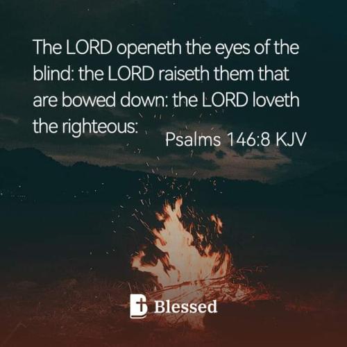 FB_IMG_1673131995011