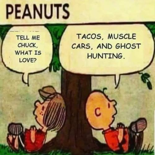 FB_IMG_1669094788527