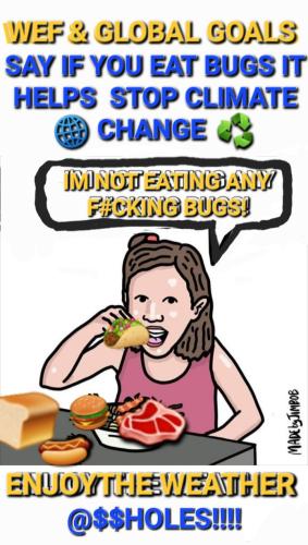 Screenshot_20230110-212339_Wimkin Free Speech Social Media