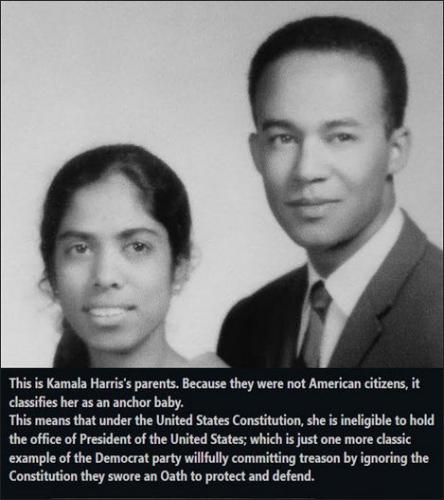 kamala harris998