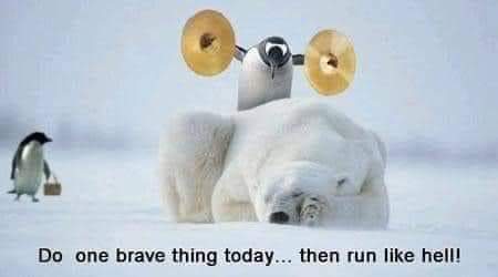 FB_IMG_1675148406896