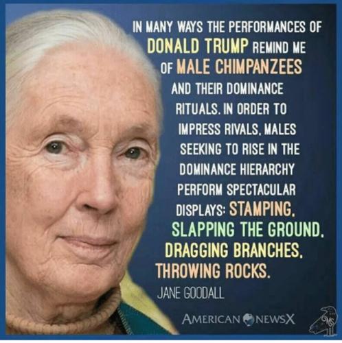 photo_2023-01-06_23-48-38