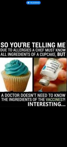 1c1882c8424d0a878df93de40341e42f_1024