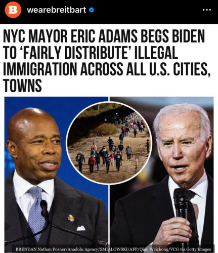 Illegals 1
