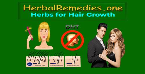 HerbalRemedies.one Herbs for Hair Growth