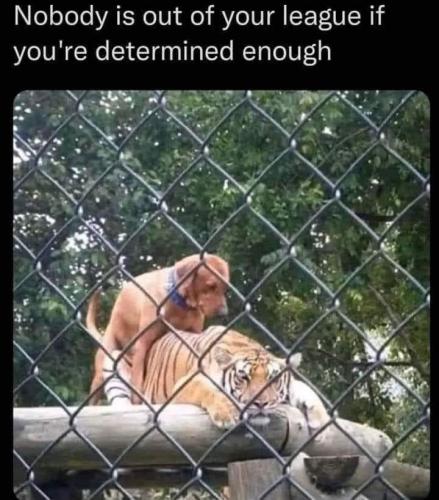 FB_IMG_1674934374363