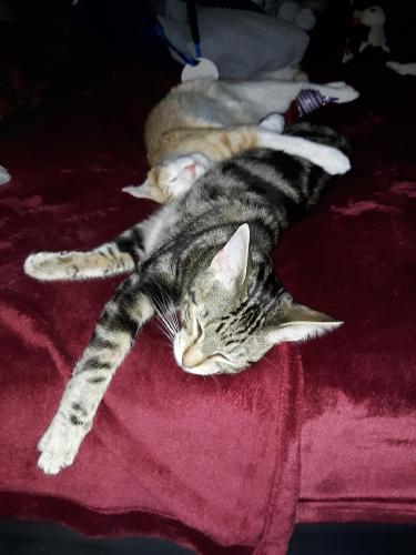 3e052da8-c44b-48f0-a544-0f26d315c6f0