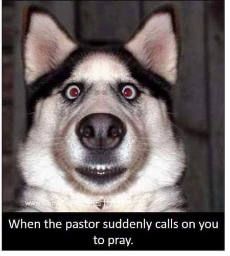 pastor