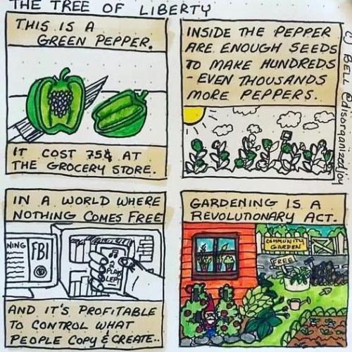 325146267_1362541367894357_4267202264907438230_n