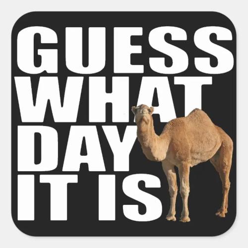 1-Hump Day