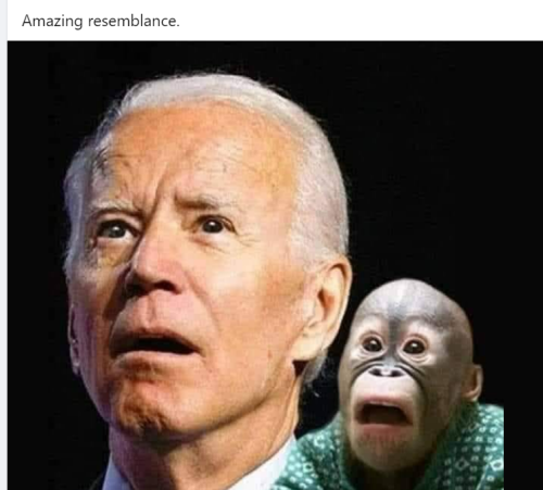Biden 2