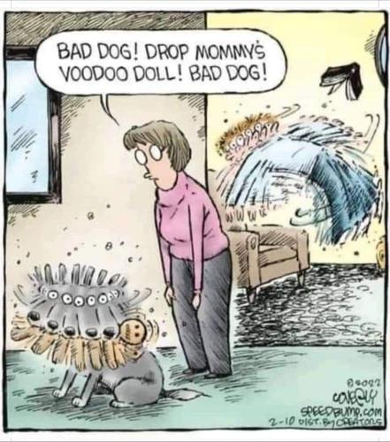 FB_IMG_1673635115398