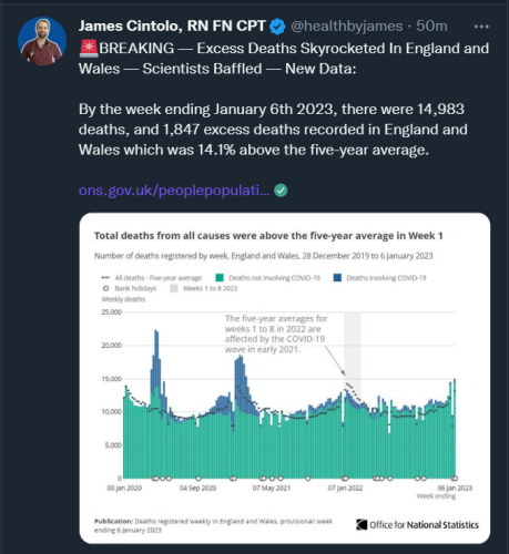 Screenshot 2023-01-17 093505 tw