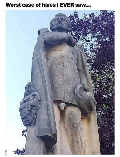 d06ca7a0-4a23-4be8-812f-2137825b8859