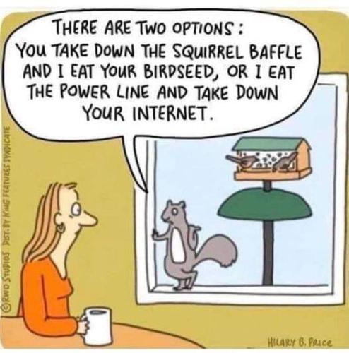 324871480_462958889382408_8659565228468591968_n