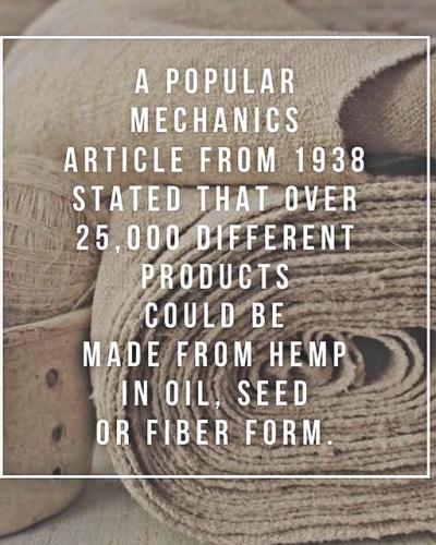 323426495_3539068139657143_5653227872329916217_n