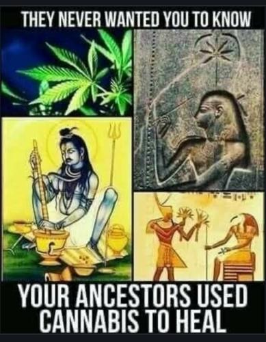 Screenshot_20221223_124124_Chrome