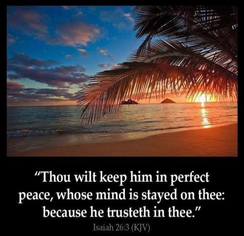 5f095e88-3ced-484b-9d94-6f17e96dee45