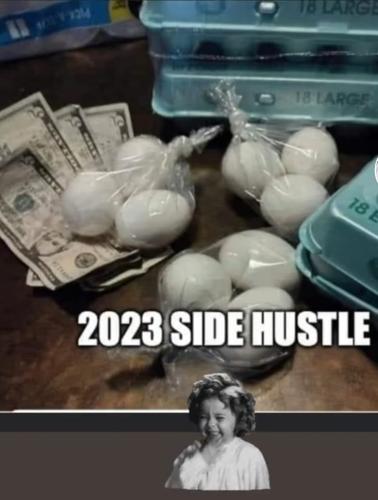 Food 1