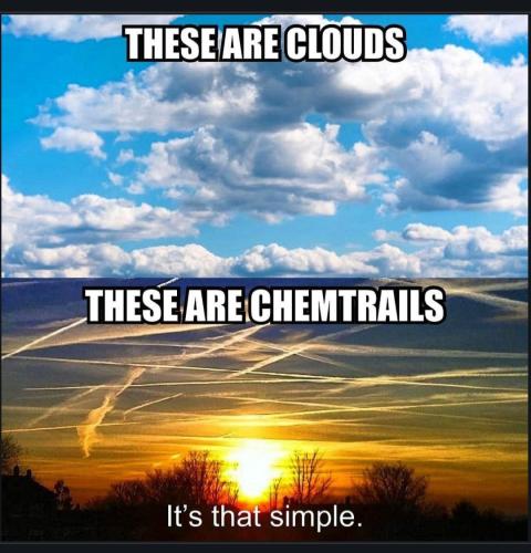 Screenshot_20230125_084126_Chrome