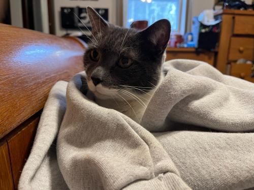 BF6B6F6C-457F-4BFA-B8F2-AB7C311CC64D