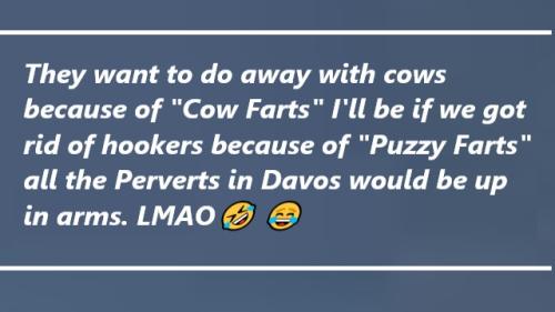 photo_2023-01-20_14-17-20