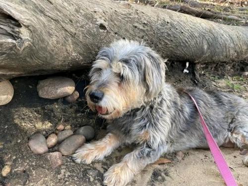 FB_IMG_16743287401504892