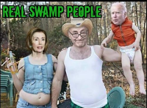 swamp people dems