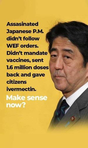 Culled Japanese PM