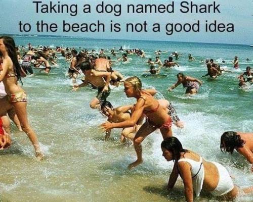 FB_IMG_1673362968636