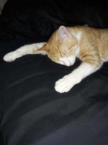 19ab9a45-fd8d-4c37-80f7-b41f077d3dcb