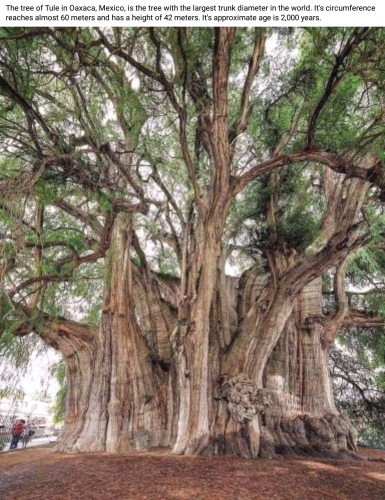 Screenshot_2022-09-01-13-09-49_kindlephoto-308636684