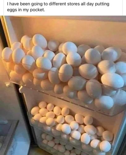 FB_IMG_1673884049512