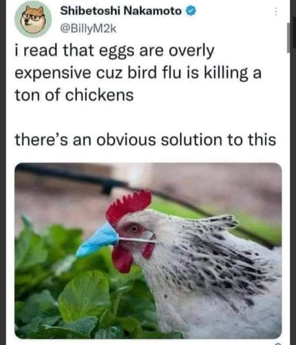 FB_IMG_1673894080365