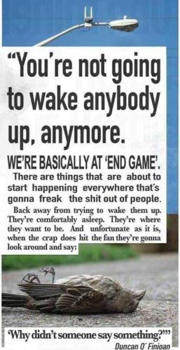 65309d7c755b97b42d158d5806694f8f_1024